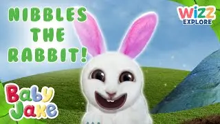 @BabyJakeofficial  - Explore with Nibbles the Rabbit! 🐰 | Full Episodes | Compilation | @WizzExplore