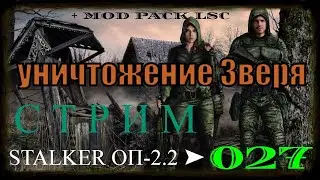 ✅STALKER ОБЪЕДИНЕННЫЙ ПАК 2.2 + MOD PACK LSC 