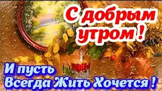 🍁 С Добрым Утром и Хорошим Днём! 🌺☕️ Красивые пожелания Доброго Утра! Открытка