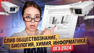 СЛИВ ОГЭ 2024 ОБЩЕСТВОЗНАНИЕ БИОЛОГИЯ ИНФОРМАТИКА ХИМИЯ