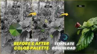 TRENDING BEFORE & AFTER COLOR PALETTES TRANSITION REELS EDITING | BEFORE AFTER REELS VIDEO TUTORIAL