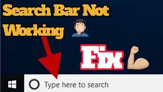 How to Fix Search Bar is not working properly in Windows 10 and 11.