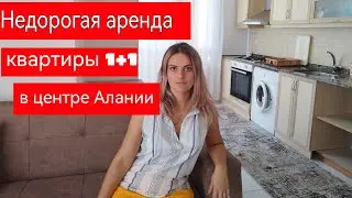 Снять квартиру в Турции, Алании на долгий срок. Sun Day Homes.  Katerina Polat.