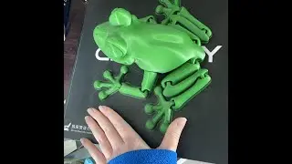 печатаем лягушку 5 часов