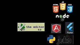 VIM as IDE with TMUX for HTML CSS JAVASCRIPT NodeJS Angular Flutter Julia Python Rust