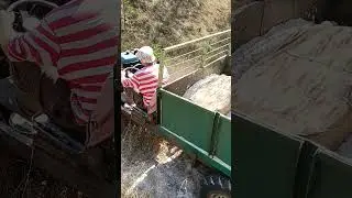 Застрял в песке на самодельном грузовике! #work #farming