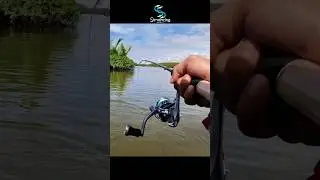 XUL Casting Black Bass #simancing #fishing #mancingkakap