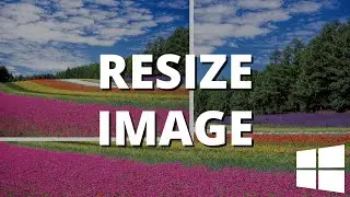 How to resize an image in Windows 11 with Paint (step by step)