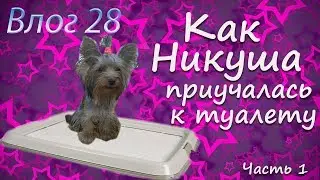 ПРИУЧЕНИЕ ЩЕНКА К ТУАЛЕТУ. Часть 1. Как приучить собаку к пеленке.