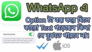 Whatsapp Read Receipts Option