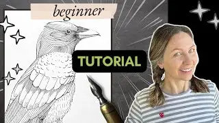 How to Draw a Bird with Dip Pens | Beginner Level