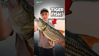 TIGER FISH! Boys Go Fishing for Monsters in Africa! - River & Wilder Show