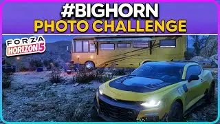Wildlife Photograph North of Mulege Forza Horizon 5 Photo Challenge