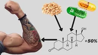 Как Натурально Увеличить Тестостерон (18 Исследований) | Джереми Этье