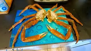 COCONUT & CRAB PASTA - Wild Sea Catching Spider Crab From a Cliff Edge !