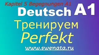 A1 