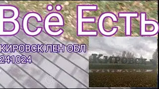 КИРОВСК ЛЕН ОБЛ 241024 ВСЁ ЕСТЬ