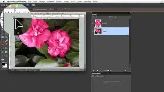 Photoshop Elements Tutorials- Find Center of Photo