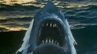 Bantam Books - Jaws 2 - The Terror Continues (Commercial, 1978)