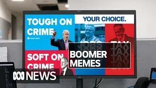 Could boomer memes win election campaigns? | ABC News