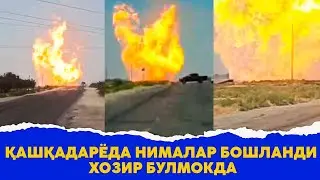 Кашкадарёда нималар бошланди хозир булмокда