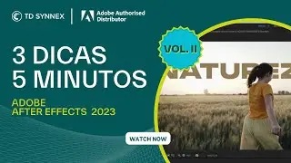 ADOBE After Effects: 3 Dicas, 5 Minutos Vol. II - TD SYNNEX PORTUGAL