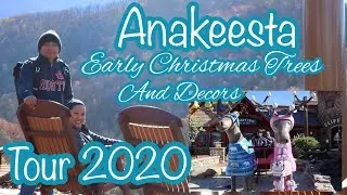 Anakeesta Gatlinburg Tour 2020 | Early Christmas Trees and  Decors