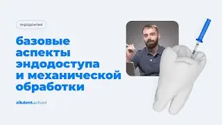 Базовые аспекты эндодоступа и механической обработки. Петросян Арман. Выпуск 6. aikdent.school