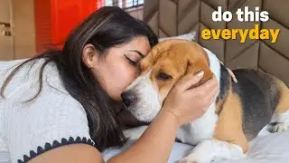 Ways I'm Bonding with My Beagle