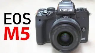 Why you Shouldnt Buy The EOS M5! Review after 2 Months