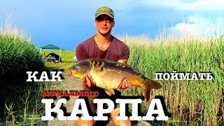 Рыбалка на карпа. Карпфишинг Carpfishing