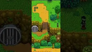 Secret Stardew Valley Npc