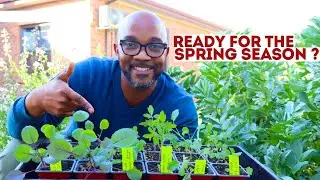 Kickstart Your Spring Garden with us: Spring& Summer Series_ South African Garden