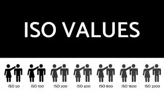 Stop Guessing - Common ISO Values You NEED to Know