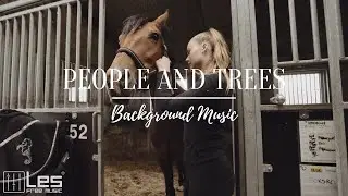 People and Trees : Acoustic Indie Hopeful Emotional Background Music