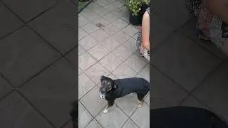 Споём вместе.