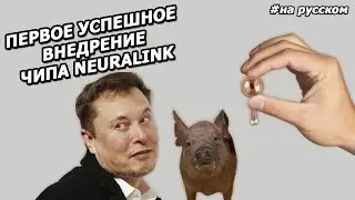 Илон Маск: презентация нового ЧИПА для мозга NEURALINK |2020|