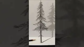 Drawing 3D Pine Tree