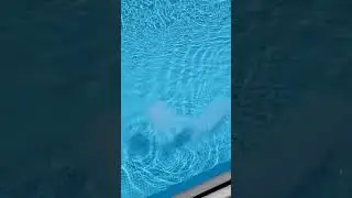 Quick dissolving pool shock from sams club members mark how quick does it dissolve 