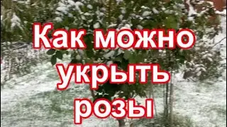 УКРЫТИЯ РОЗ, ЛЕГКО и ПРОСТО!