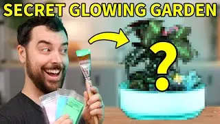 Making a SECRET Glow-in-the-Dark Garden