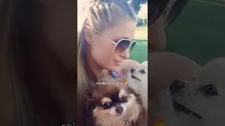 Love & Support for Paris Hilton as She Says Goodbye to Her Precious Furry Friend