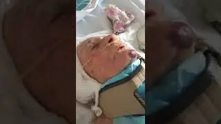 Без названия 7