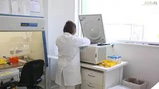 ADRI’s Biobank – how we collect samples and why