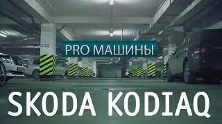 Skoda Kodiaq, тест-драйв