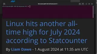 Linux hits another all-time high for July 2024 according to Statcounter