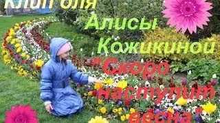 Клип для Алисы Кожикиной-