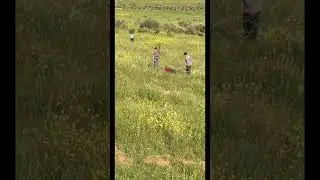 He’s about to find out 