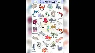 Sea Animals Name#education #mk #vocabulary @learnwithmk5825