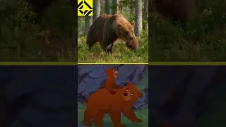 How Disney Animates a Bear